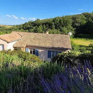 https://lappart-2831.midi-pyreneeshotels.com